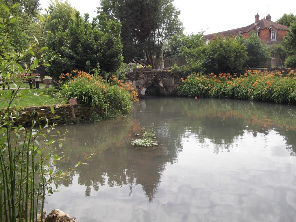 Le Moulin Du Modon Proche Du Zooparc De Beauval Couffy Exterior foto